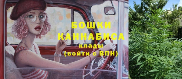 первитин Каменногорск