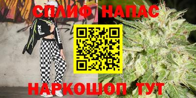 МДПВ Гусиноозёрск