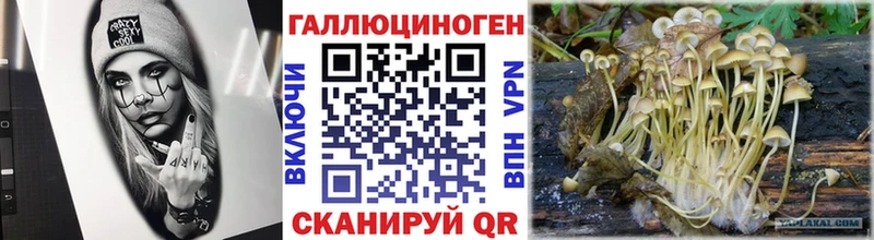 мега сайт  хочу наркоту  Малгобек  Галлюциногенные грибы Magic Shrooms 