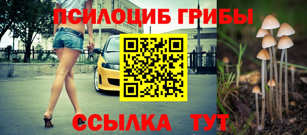 Псилоцибиновые грибы мицелий Малгобек