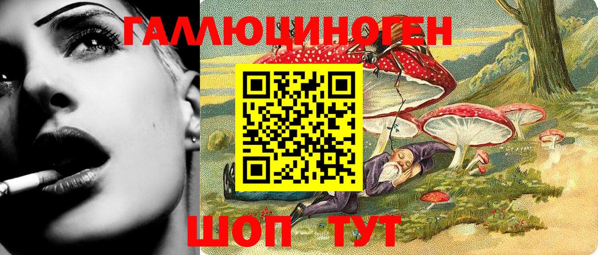 Галлюциногенные грибы GOLDEN TEACHER Малгобек