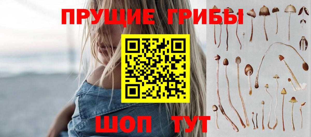 Псилоцибиновые грибы Magic Shrooms  Малгобек 