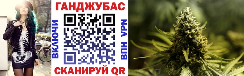 Бошки Шишки семена  Малгобек 